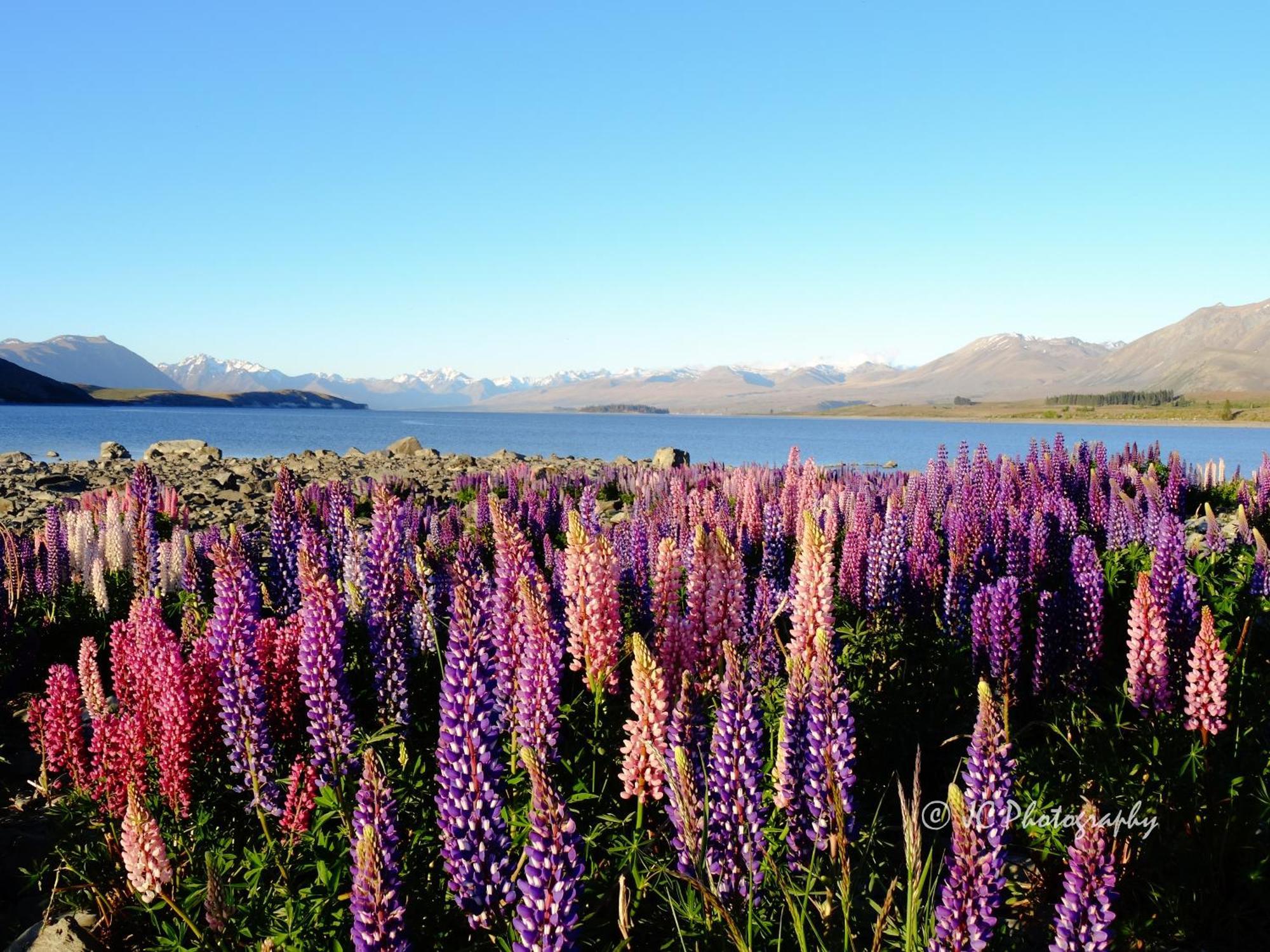 Tekapo Luxury Apartments Lake Tekapo Exterior foto